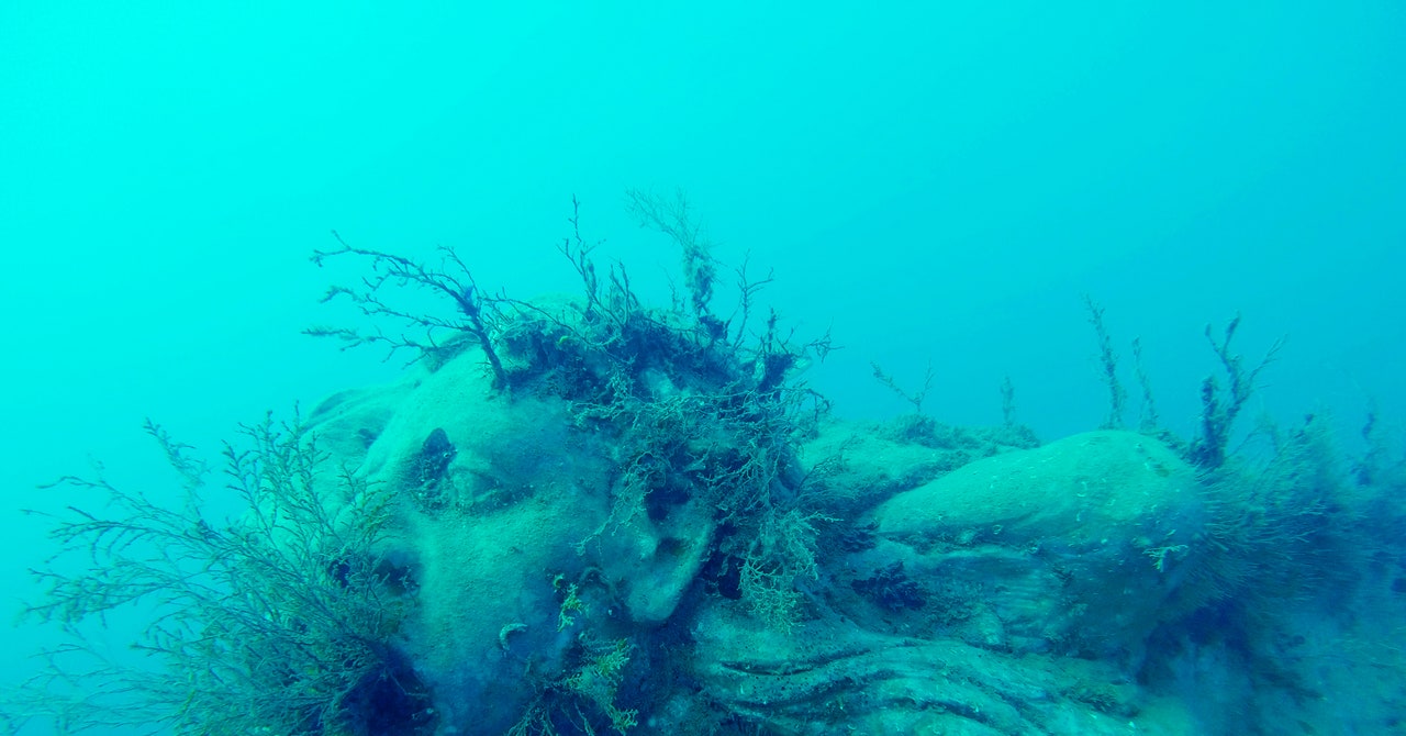 تراول های غیرقانونی با مجسمه های زیر آب همخوانی ندارند